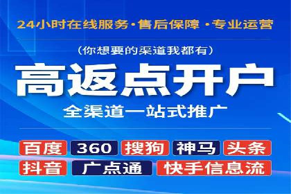 百度竞价排名策略优化：某公司广告投放效果翻倍的秘诀